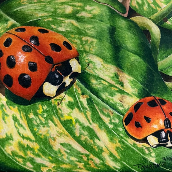 “Ladybugs” colored pencil print. - Picture 2 of 2